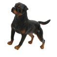 thumbnail image 4 of Adornos de simulación de rottweiler, decoración de escritorio, juguete educativo para niños, 4 of 15