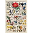 thumbnail image 2 of Vision Studio  17x24 Gold Ornate Wood Framed with Double Matting Museum Art Print Titled - Floral Chart, 2 of 4