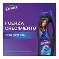 thumbnail image 4 of Shampoo Caprice Especialidades Fuerza Crecimiento Biotina 750 ml, 4 of 5