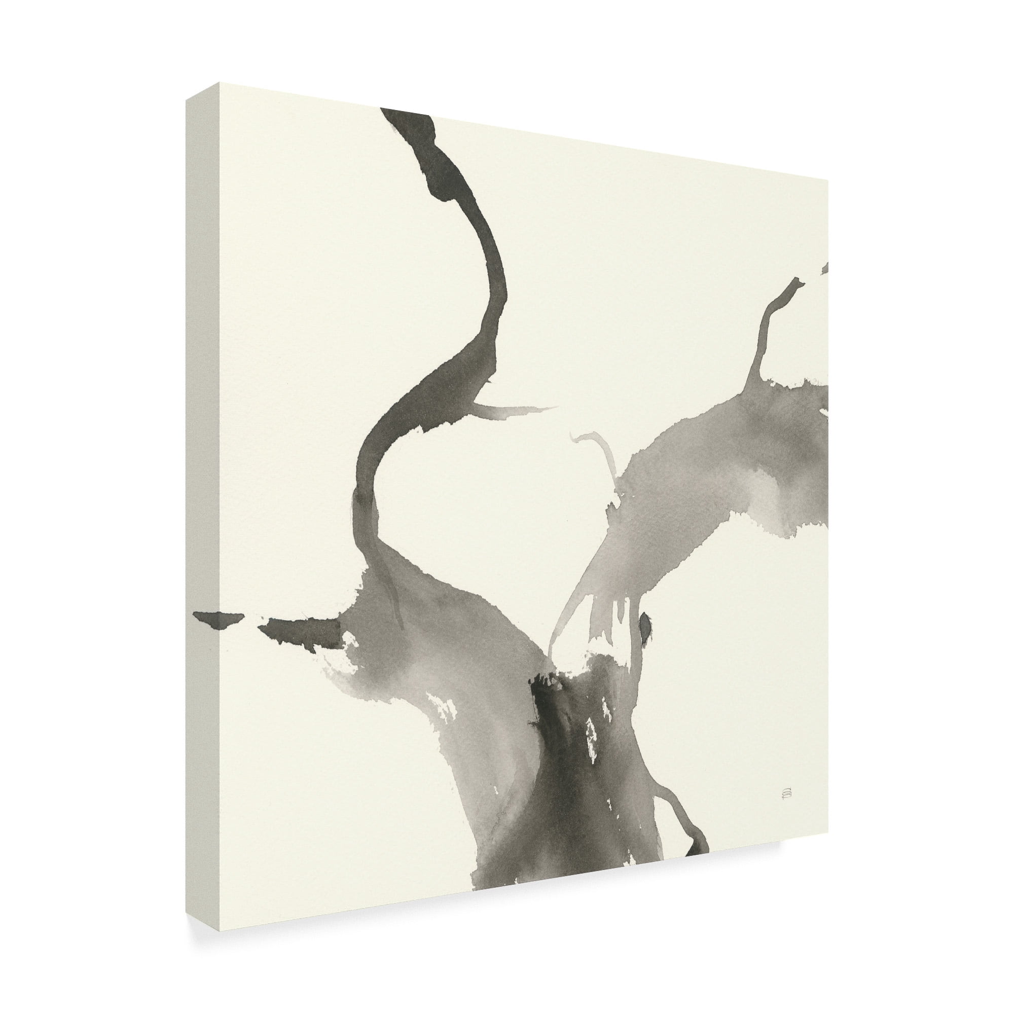 Trademark Fine Art 'Gesture I BW' Canvas Art by Chris Paschke