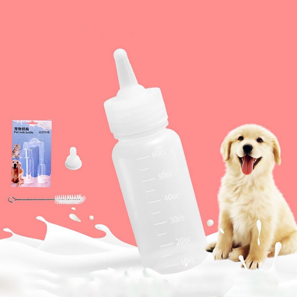 kitten baby bottle walmart