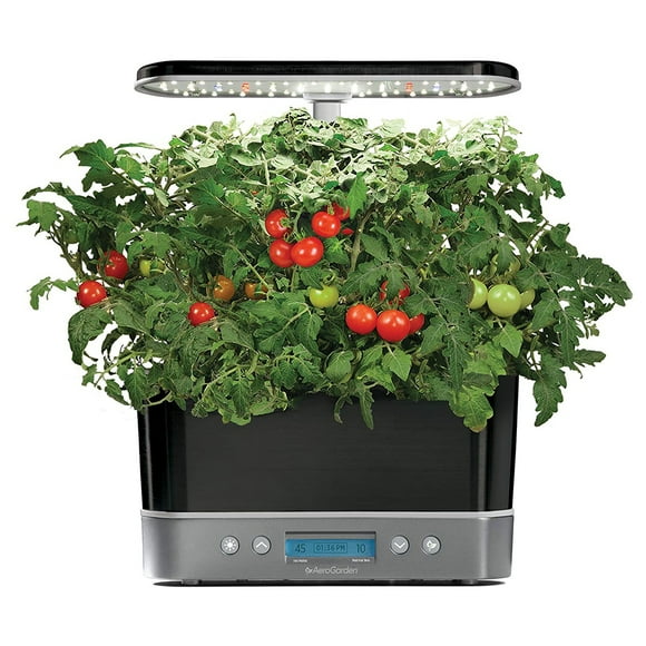 AeroGarden Système de Culture à LED Élite pour Jardin Maison, Platine