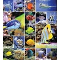 thumbnail image 3 of Ocean Duvet Cover Set, Collage of Underwater Photos with a Group of Tropical Art Fish Oceanic Pattern, Decorative 2 Piece Bedding Set with 1 Pillow Shams, Twin Size, Yellow Blue, by Ambesonne, 3 of 3