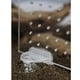 thumbnail image 3 of 2 juegos de pecera de acuario, separador de cría, pecera, ventosa, soporte de clip, soportes 55x16x45mm Fernando Ventosa para tanque de acuario, 3 of 8