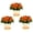 Orange, variant on SunPatiens 2QT Orange Impatiens Live Annual Plant Sun 3-Pack