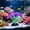 Purple#1445, variant on Silicone Anemone Aquarium Ornament with Glowing Tentacles for Fish Tank Decor – Soft Luminous Aquascaping Decoration for Betta, Goldfish and Turtle Tanks