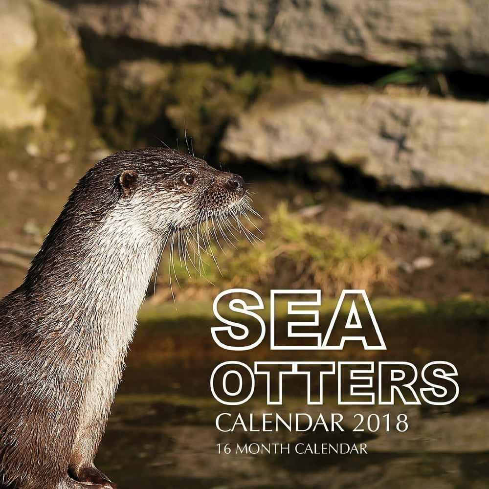 Sea Otters Calendar 2018 16 Month Calendar (Paperback)