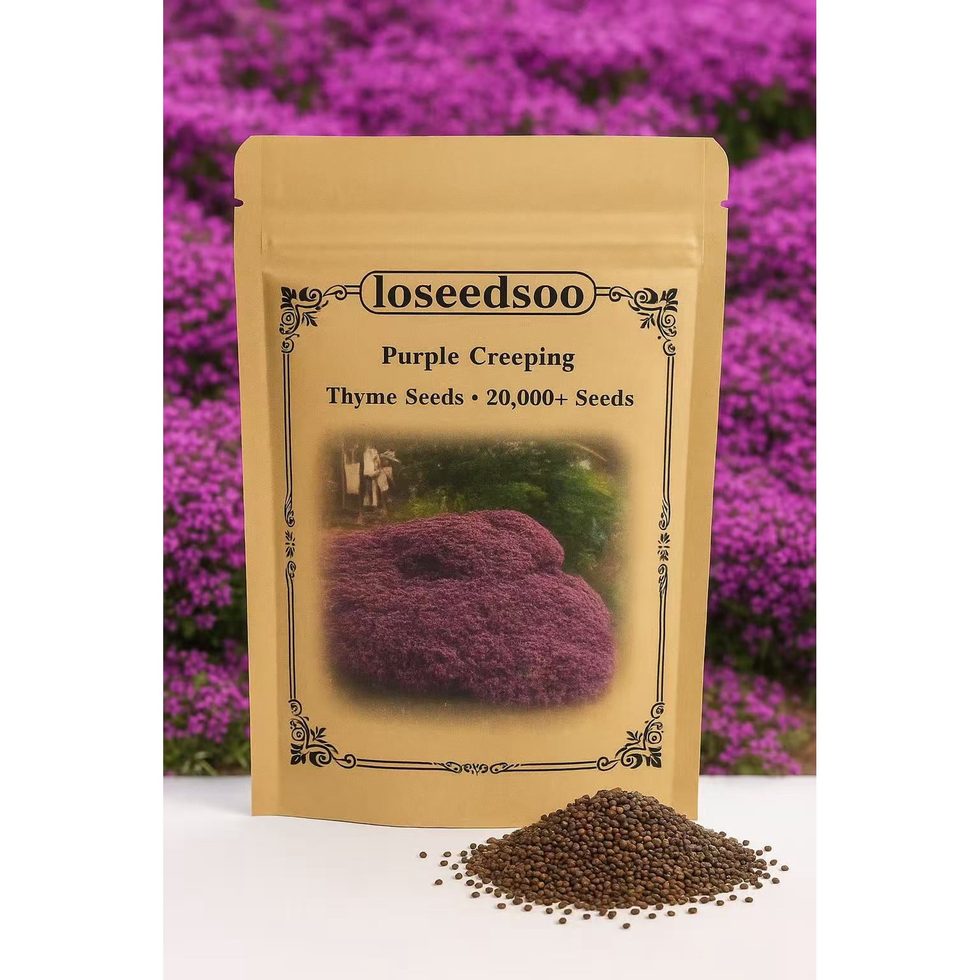 20000+ Creeping Thyme Seeds for Planting -Perennial Ground Cover Plants Flowers Non-GMO Heirloom (Purple)