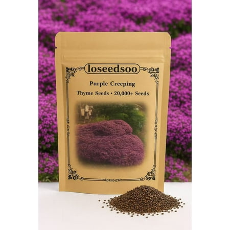 20000+ Creeping Thyme Seeds for Planting -Perennial Ground Cover Plants Flowers Non-GMO Heirloom (Purple)