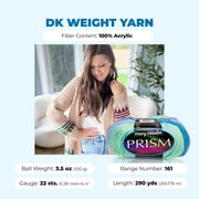 Mary Maxim Prism Yarn, Soft Acrylic DK Variegated Yarn 3.5 oz Skein 290 Yards, Rain Shower