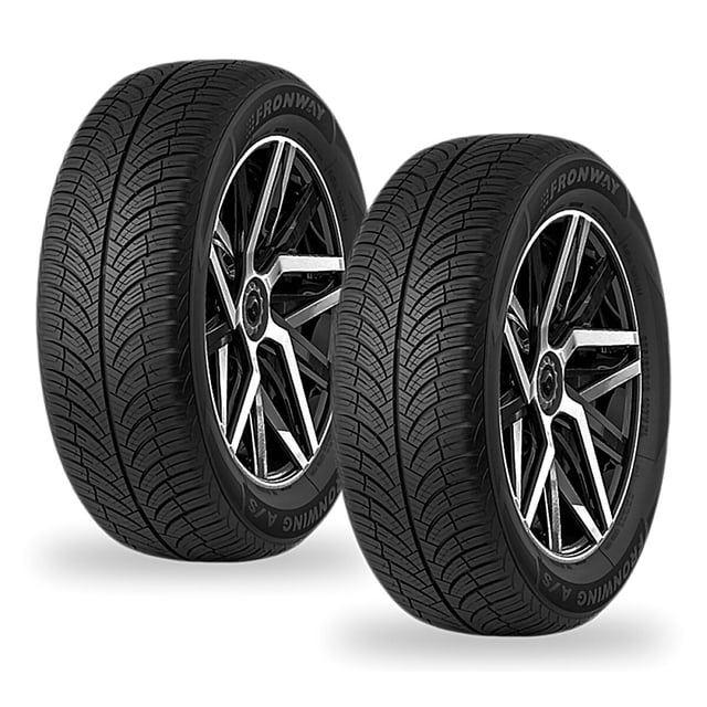 2 Llantas FRONWAY Fronwing A/S 205/65R15 94 V