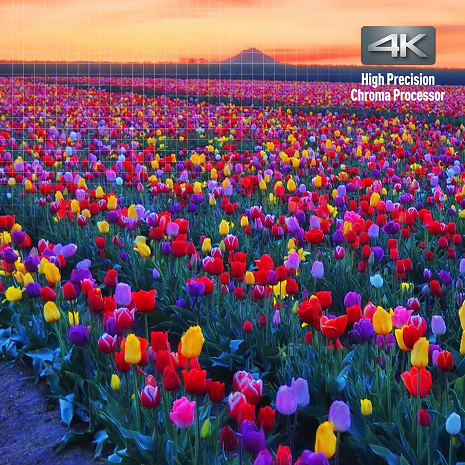 Panasonic 4K Ultra HD Blu-Ray DVD Player with Hi-Res Audio, HDR10+ & Remote, DP-UB154P-K