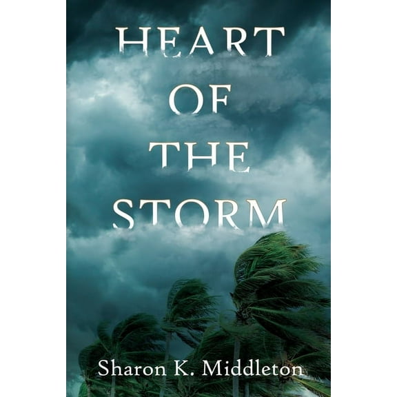 A McCarron's Corner Mystery Heart of the Storm, Book 1, (Paperback)