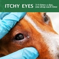 thumbnail image 4 of Ungüento de ojos para gatos, perros y caballos de con lavado de ojostoallitas para ojos removedor de manchas lágrimas - Gotas para los ojos para infección Juego completo oftálmico maestro(3pcs/60 mL), 4 of 5
