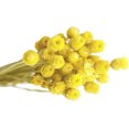 thumbnail image 5 of Ramos secos de flores artificiales NQ 50 tallos naranja, 5 of 5