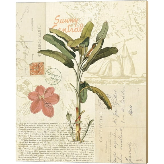 Floridian III by Katie Pertiet, Canvas Wall Art, 16W x 20H