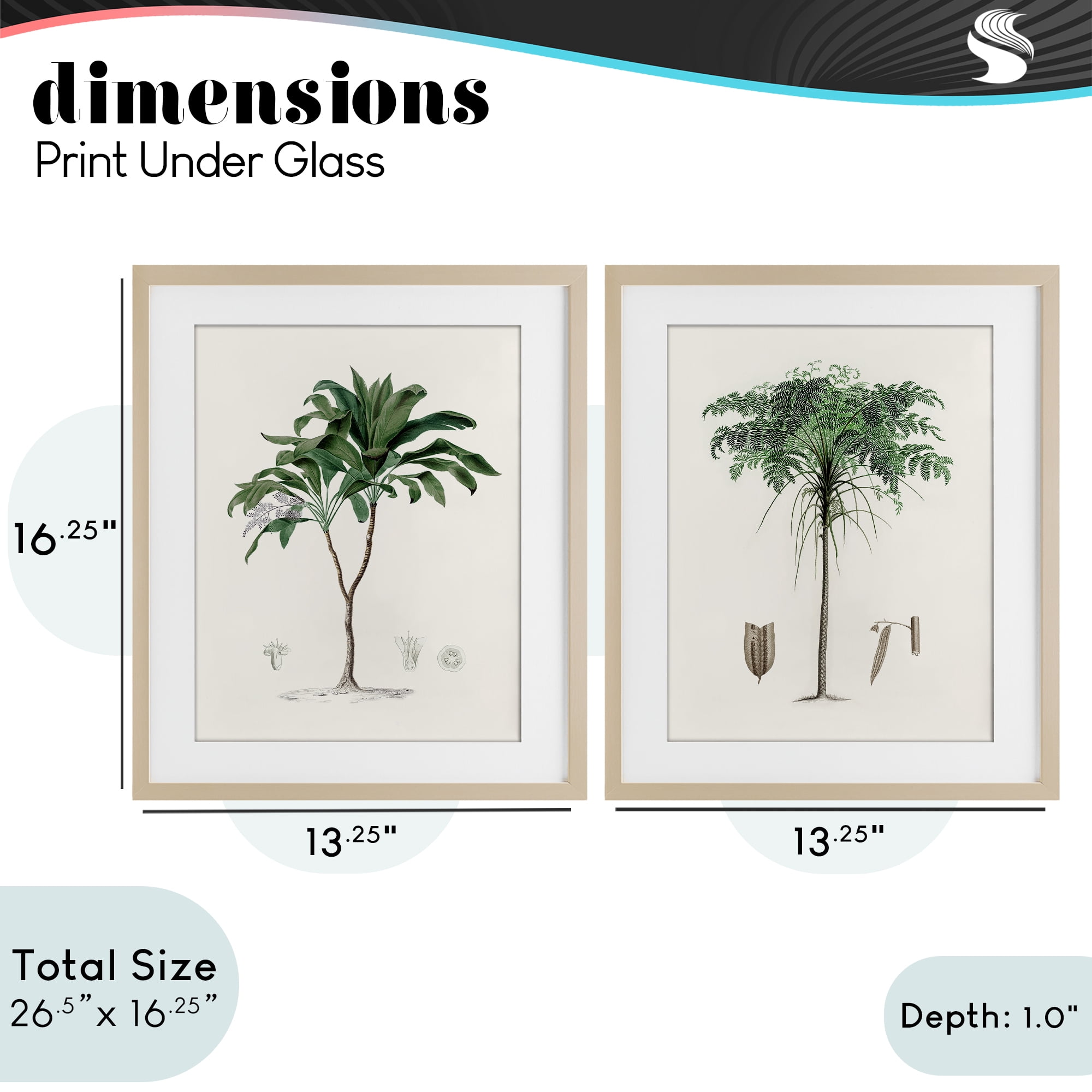 Stupell Industries Two Types of Palms 2 Piece Birch Framed Print Under Glass Set, design by Val Rhodes