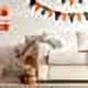 thumbnail image 2 of Juego de 4 fundas de almohada para decoración de Halloween, 18.0 x 18.0 in, decoración de Halloween, diseño de granja, almohadas de otoño al aire libre, funda de almohada decorativa para el hogar, 2 of 5
