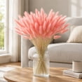 thumbnail image 4 of chaungfeng 17" Artificial Bunny Tails Dried Flowers, 20 Pcs Faux Dried Lagurus Ovatus, Dried Pink Pampas Grass Decor for Farmhouse Flower Arrangements Wedding Home Boho Party Decorations, 4 of 8