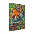 thumbnail image 2 of Robert Phelps Art 'Tiger' Canvas Art, 2 of 3
