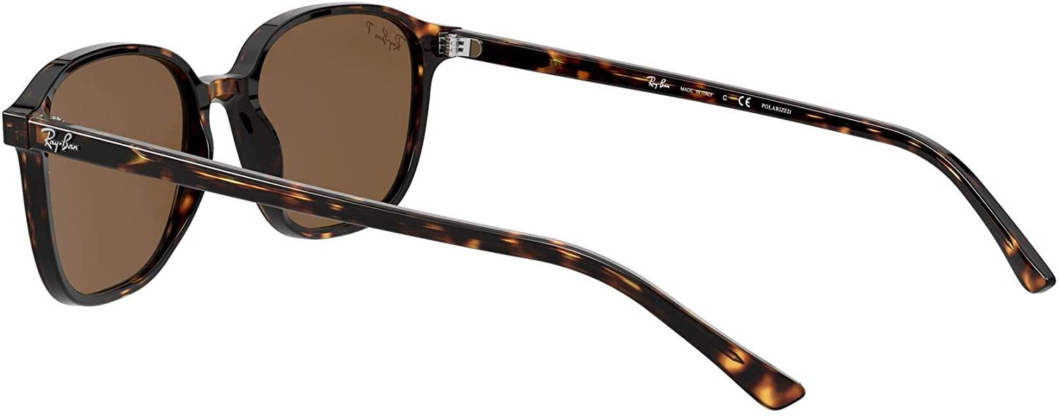 Ray-Ban Rb2193 Leonard Square Sunglasses