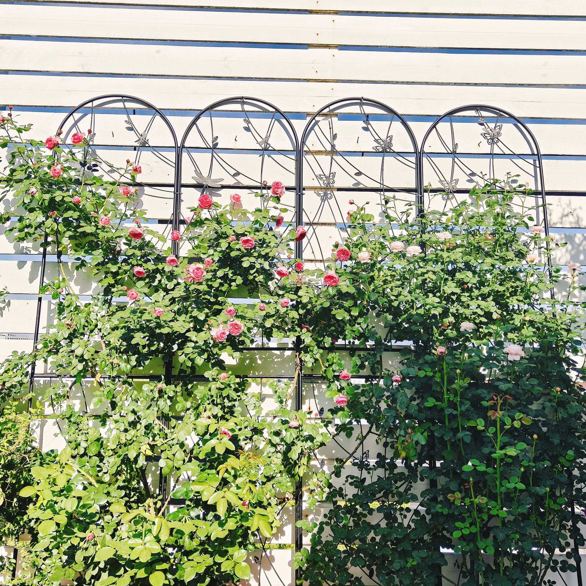 4 Pack 86" H Large Heavy Duty Garden Rustproof Iron Plant Trellis for Potted Plant Support Metal Climbing Rose Trellis Vine Vegetable Cucumber