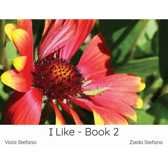 I Like I Like - Book 2, Book 1, (Paperback)