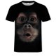 thumbnail image 4 of Verano nueva moda streetwear camiseta 3D camiseta hombres camisetas gráficas personalizadas Sincero  Hogar, 4 of 4