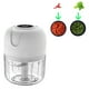 thumbnail image 2 of Mini picadora de ajo eléctrica, mini picadora de alimentos, molinillo de ajo eléctrico portátil con carga USB para cebolla, zanahoria, carne, alimentos para bebés, verduras Xemadio 223126-2, 2 of 8