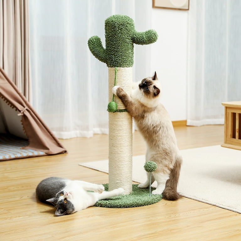 Cactus hotsell cat tower