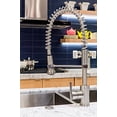 thumbnail image 5 of Danze Parma Kitchen Faucet D455058SS Stainless Steel, 5 of 5