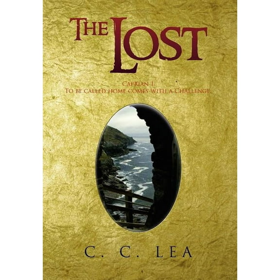 The Lost (Hardcover)