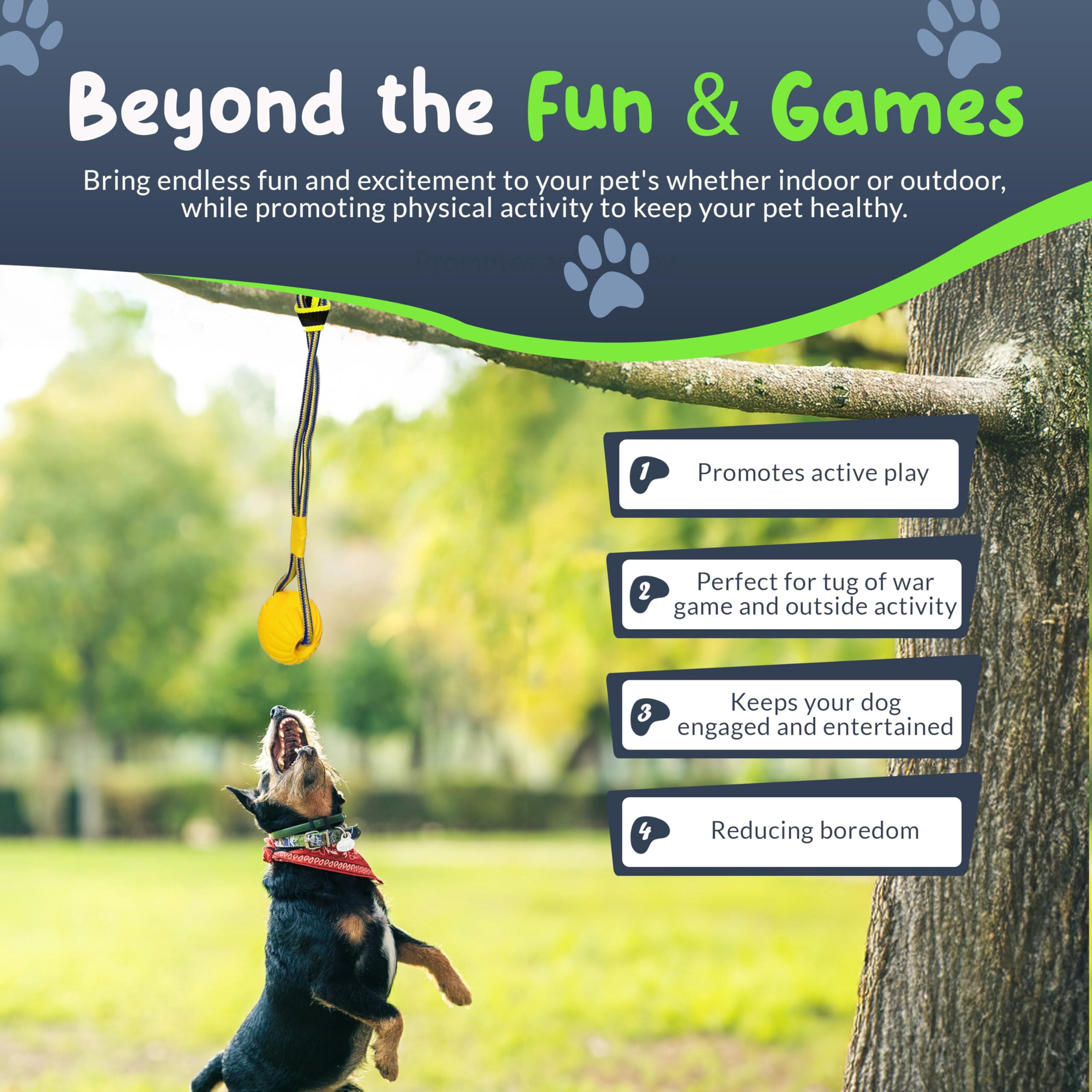 Petite Paws Tree Rope Toy for Dogs — Bungee Tug War Toy for Outdoor Exercise & Play