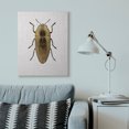 thumbnail image 3 of Stupell Industries Contemporary Beetle Gold Animal Photograph Canvas Art, 30 x 40, by Design Fabrikken, 3 of 7