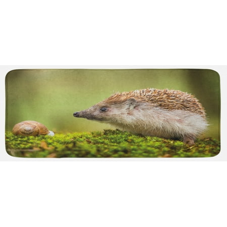 

Hedgehog Kitchen Mat Animal Photography in Eastern Europe Slug with Hedgehog Scenes from Nature Print Plush Decorative Kitchen Mat with Non Slip Backing 47 X 19 Green Brown by Ambesonne