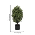 thumbnail image 3 of Serene Spaces Living Faux Oval Boxwood Topiary Tree in Pot, 14" Dia & 24" Tall, 3 of 3