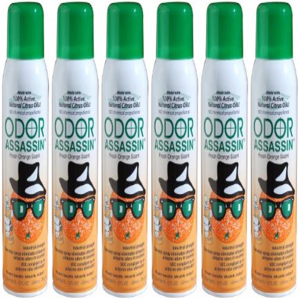 Odor Assassin 12 oz. Air Freshener Fine Mist Spray, Orange Walmart