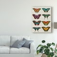 thumbnail image 3 of Trademark Fine Art 'Polychrome Butterflies II' Canvas Art by Vision Studio, 3 of 4