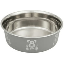 Neater Pets Stainless Steel Hungry Dog Bowl, Grey, 8 Cups