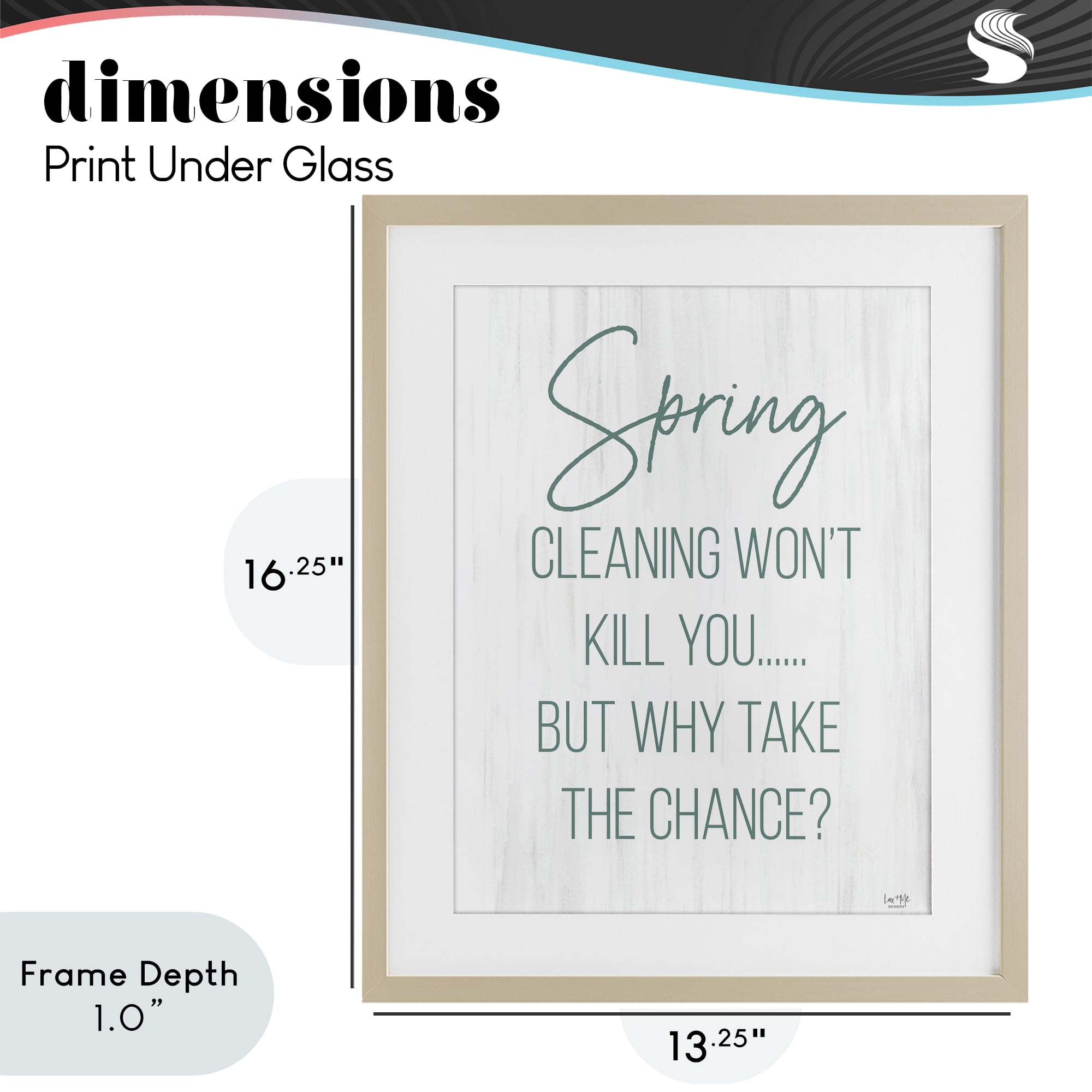 Stupell Industries Spring Cleaning Won't Kill You Birch Framed Print Under Glass, design by Lux + Me Designs