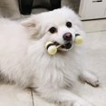 thumbnail image 5 of Dog Chew Toy, Durable Nylon Chew Bone for Aggressive Dogs, Beef Flavor, for Training and Cleaning Teeth,(S), 5 of 5