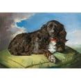 thumbnail image 3 of Theodor Petter 14x11 Black Modern Framed Museum Art Print Titled - Cocker Spaniel Lying on a Green Cushion, 3 of 5