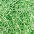 thumbnail image 1 of Relleno de papel arrugado Uptotop de 2 libras, color verde claro, 1 of 7