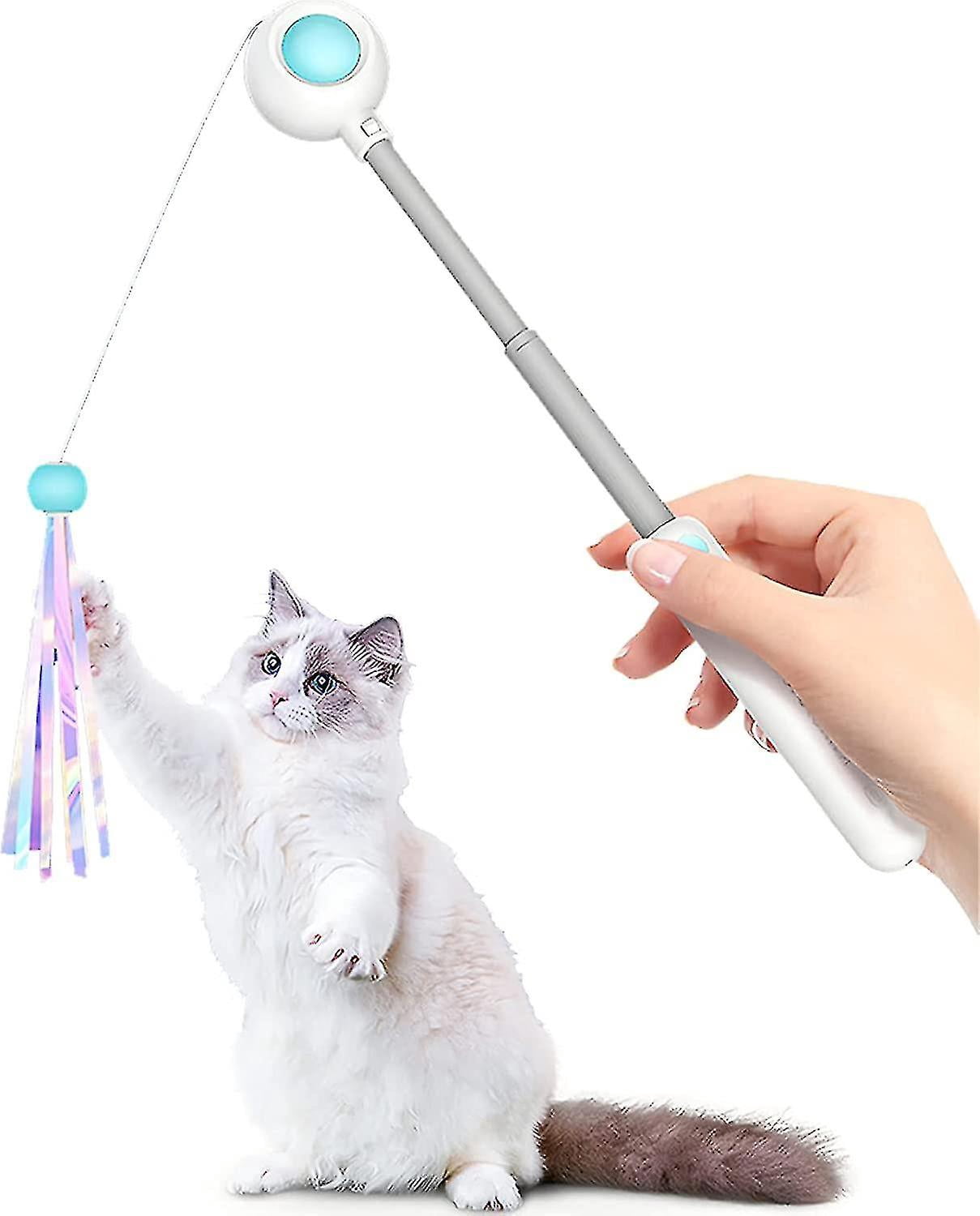 Electric Cat Fish, Retractable Cat Toys, Cat Toy, Feather Toy Cat, Electric Interactive Cat Toy For Kittens Cats
