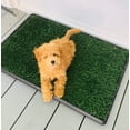 thumbnail image 3 of Grass Pad with Tray, Artificial Turf Pee Pad for Dog Potty Training, Indoor Outdoor Use, Washable Replacement Mat (3-Piece Relief System, 20'' x 30''), 3 of 7