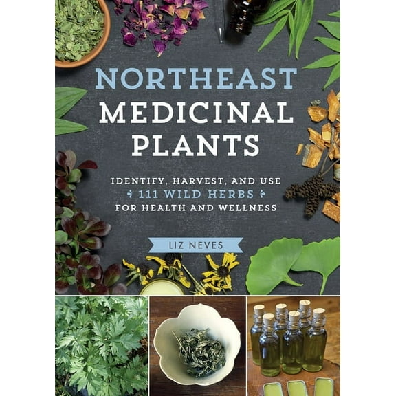 Northeast Medicinal Plants - Paperback