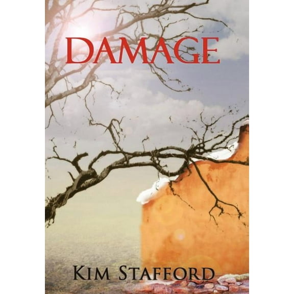 Damage (Hardcover)