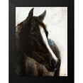 thumbnail image 2 of Drotar, Rikki 12x14 Black Modern Framed Museum Art Print Titled - Brown Stallion, 2 of 5