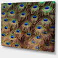 thumbnail image 2 of Plumes de Queue de Paon en Gros Plan - Impression sur Toile Animale, 2 of 4