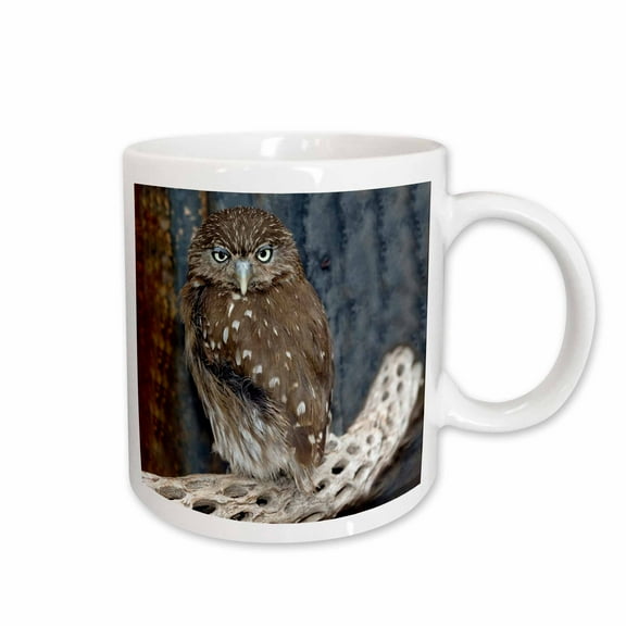 3drose, Ferruginious Pygmy Owl - Us03 Bfr0131 - Bernard Friel, 11oz Mug